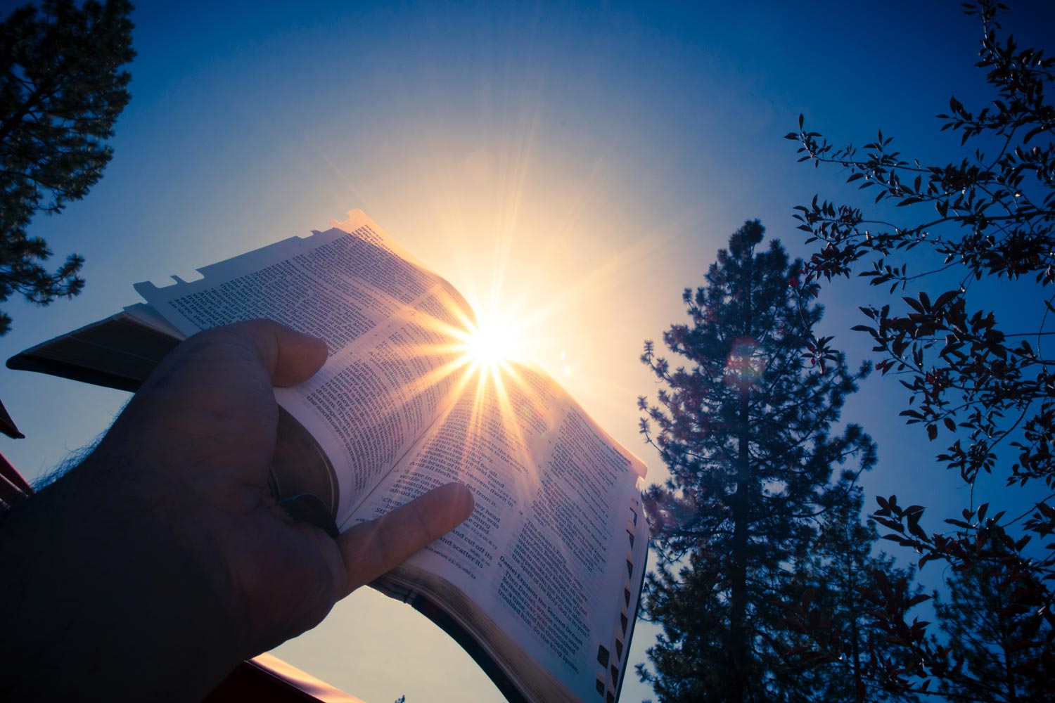 Bible held up to sky with sun shining on the open pages